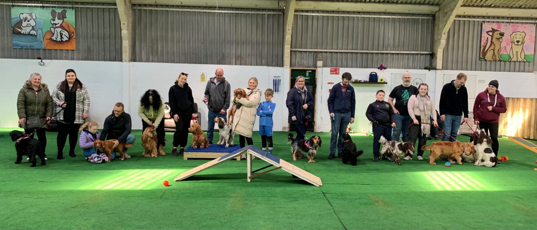 Doggy Day School Indoor dog training with a line of participants and dogs, including agility ramps and toys on the floor