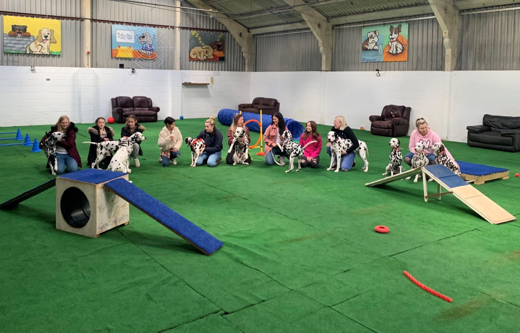 Doggy Day School Indoor dog training with several people and Dalmatian dogs, surrounded by ramps, tunnels, and green flooring