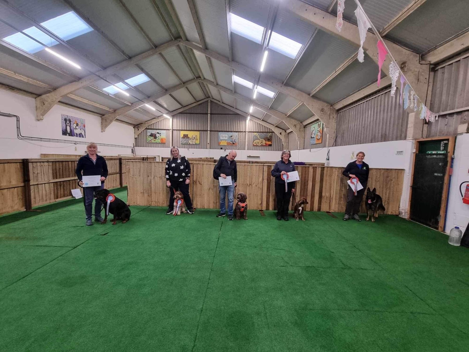 Doggy Day School